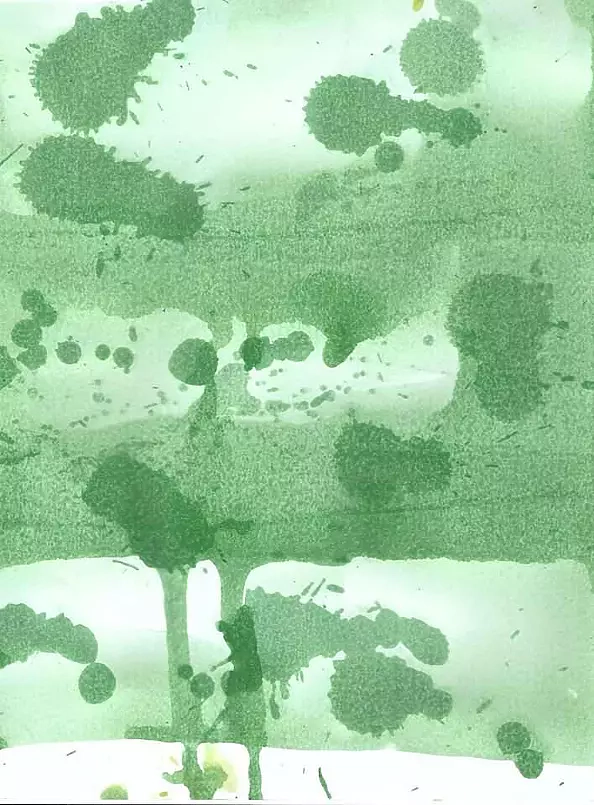 Szymon Wojtak - Without title