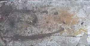 Szymon Wojtak - Bez Tytułu