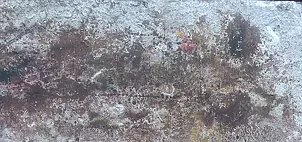 Szymon Wojtak - Bez Tytułu