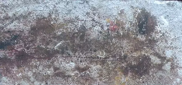 Szymon Wojtak - Without title