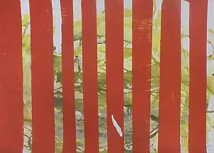 Szymon Wojtak - Bez Tytułu