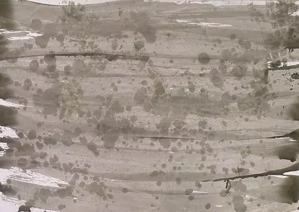 Szymon Wojtak - Without title