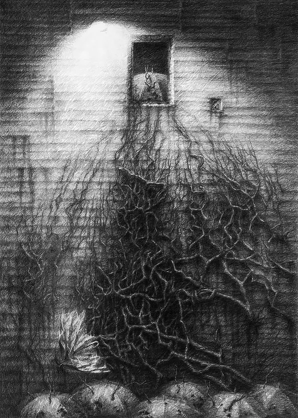 Zbigniew Oporski - Bez tytułu 2012r