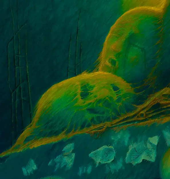 Zbigniew Oporski - Untitled 2017