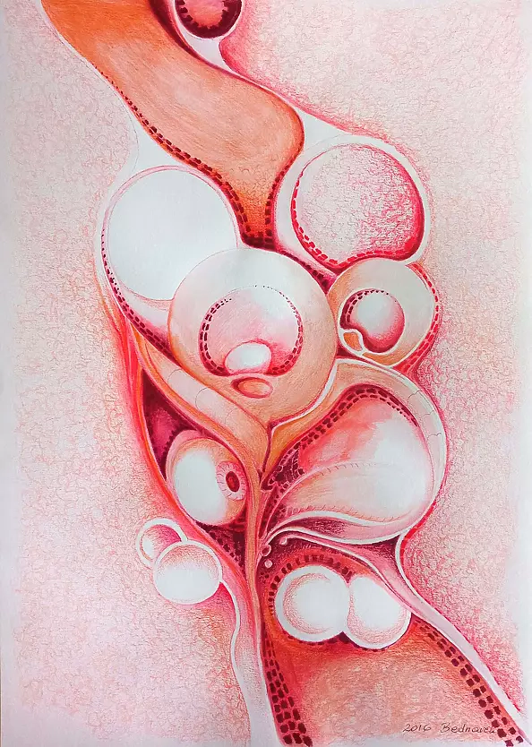 Jacek Bednarek - Without title