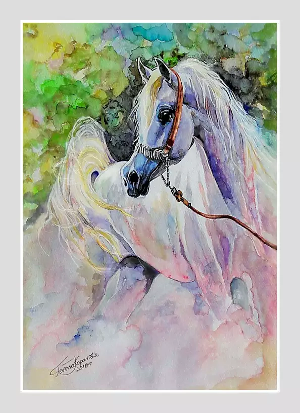 Teresa Kopańska - Without title