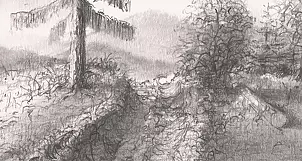 Witold Kubicha - Bez tytułu