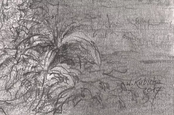 Witold Kubicha - Without title