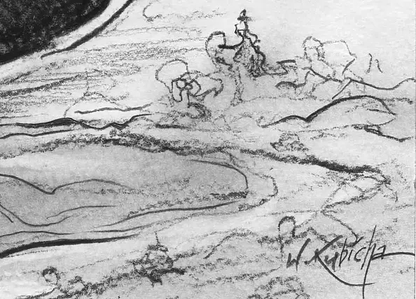 Witold Kubicha - Without title