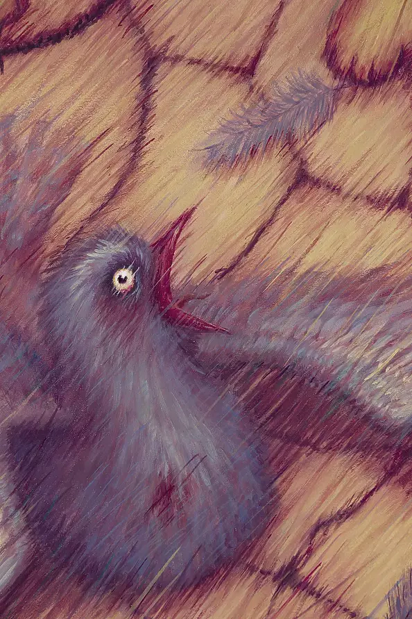 Zbigniew Oporski - Bez tytułu