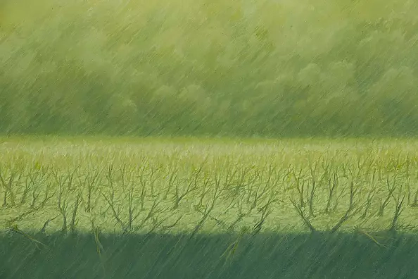 Zbigniew Oporski - Bez tytułu