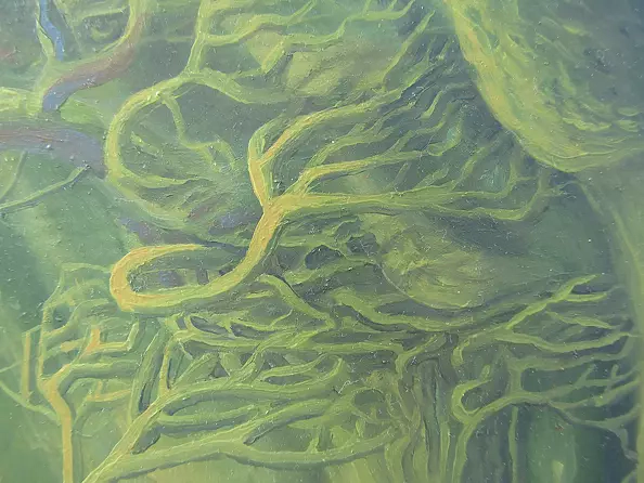 Wojciech Pater - insonnia Gufi