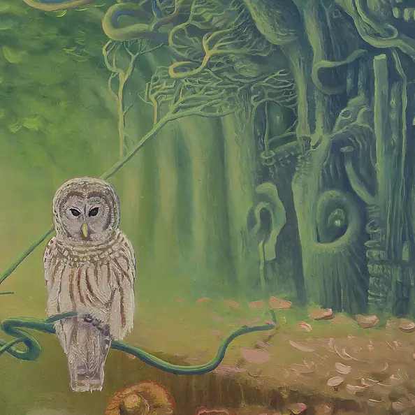 Wojciech Pater - insonnia Gufi