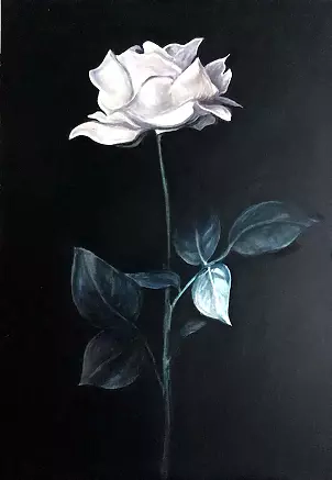 Maria Kuzak - Biała Róża