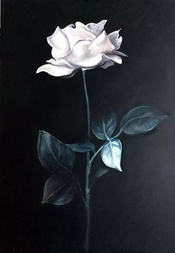 Maria Kuzak - Biała Róża