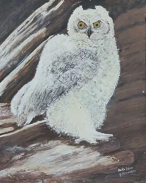 Antonina Radzięda - Biała sowa