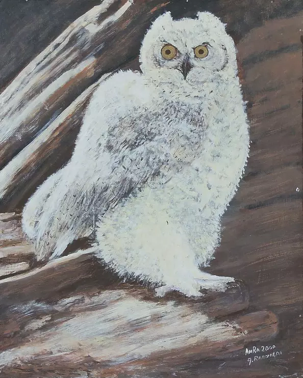 Antonina Radzięda - Biała sowa