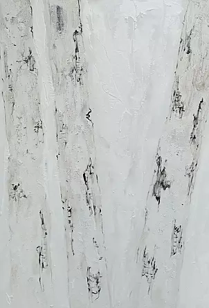 Mariola Świgulska - White symphony