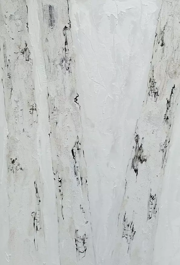 Mariola Świgulska - White symphony