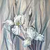 Lidia Olbrycht - Iris bianche