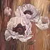 Lidia Olbrycht - Weiße Gartenmohnblumen