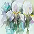 Zdzisław Rutkowski - white irises
