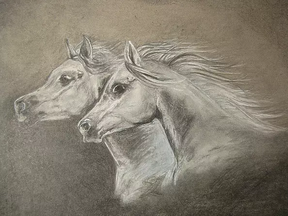 Emilia Lewandowska - Białe konie