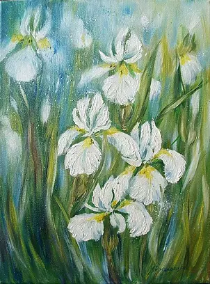   - white iris