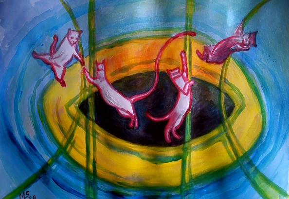 Marzena Salwowska - White cats on the trampoline