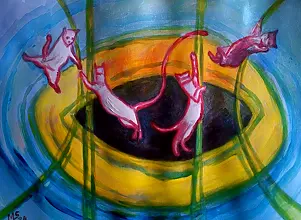 Marzena Salwowska - Weiße Katzen auf dem Trampolin