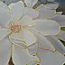 Luba Santkiewicz - White magnolias