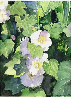 Zdzisław Rutkowski - Białe malwy