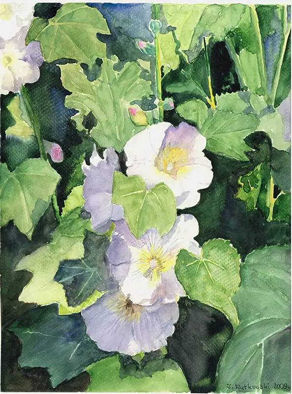 Zdzisław Rutkowski - Białe malwy