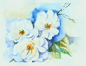 Zdzisław Rutkowski - Białe róże VII