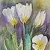 Zdzisław Rutkowski - Białe tulipany II