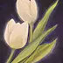 Monika Targiel - White tulips