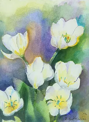 Zdzisław Rutkowski - white tulips
