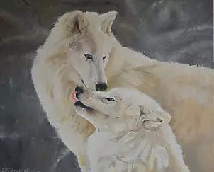 Sylwia Piotrowicz - White wolves