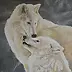 Sylwia Piotrowicz - White wolves