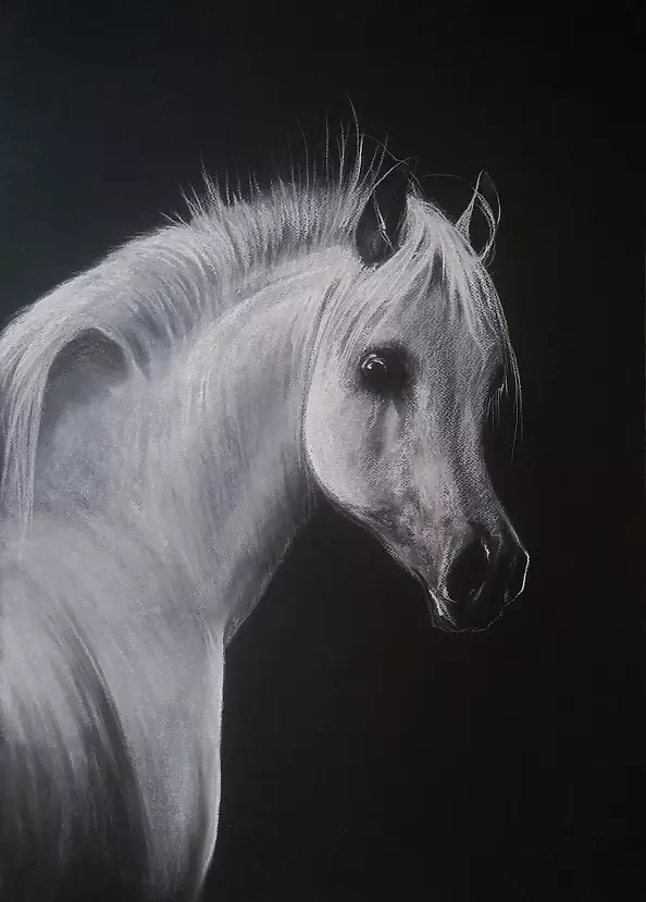 Robert Chełchowski - Biały Arab