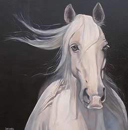 Jolanta Oczko - White horse