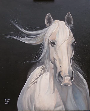 Jolanta Oczko - White horse