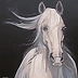 Jolanta Oczko - weißes Pferd