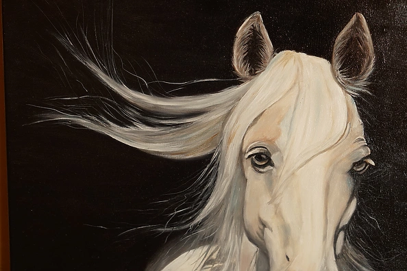 Jolanta Oczko - White horse