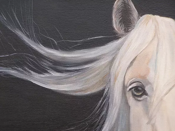 Jolanta Oczko - White horse