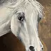 Joanna Szcześniewska - White horse