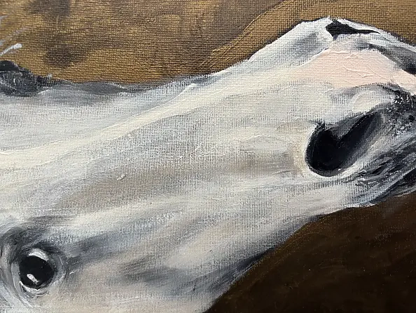 Joanna Szcześniewska - White horse