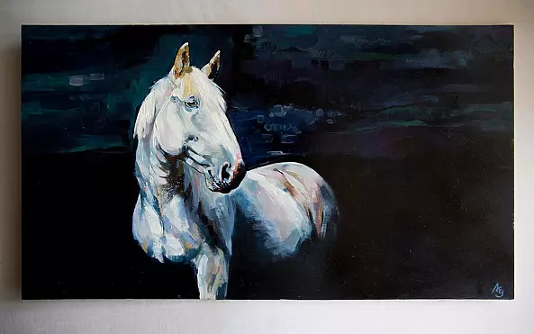 Anna Ewa Jarosz - Biały koń w nocy