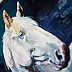 Anna Ewa Jarosz - cheval blanc la nuit