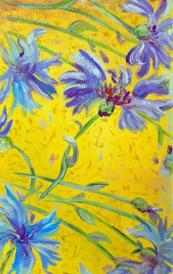 Elżbieta Goszczycka - White cat and cornflowers